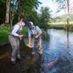 pecas no The Lodge at Glendorn