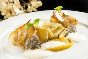 riso-_-supresa-do-mar-3-_-filico