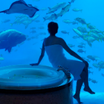 banheiro Atlantis The Palm Dubai