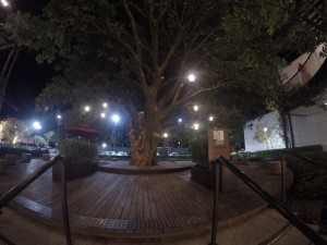 figueira hyatt place