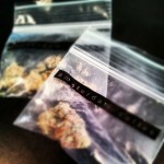 venda-maconha-amsterdam-estrangeiros