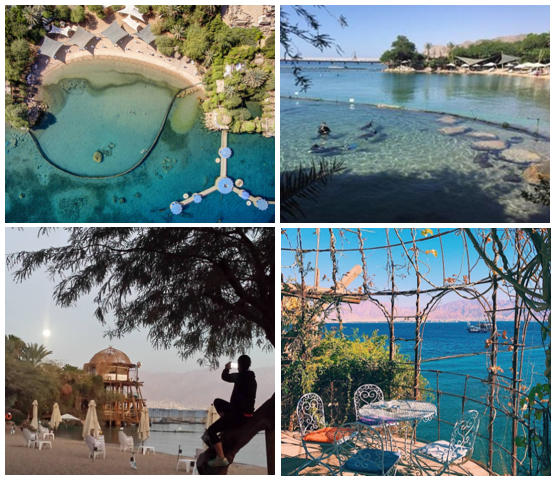 dolphin-reef-fotos-divulgacao