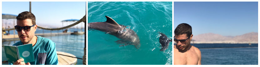 dolphin-reef-fotos-otavio