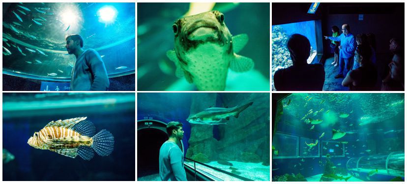 aquario-fotos