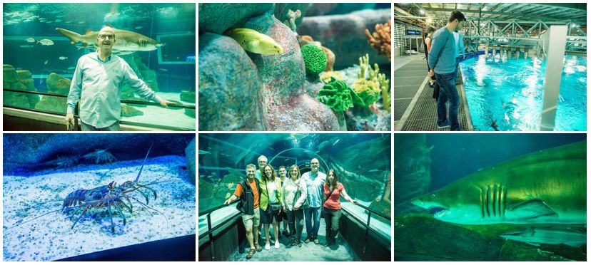 aquario-rio-de-janeiro