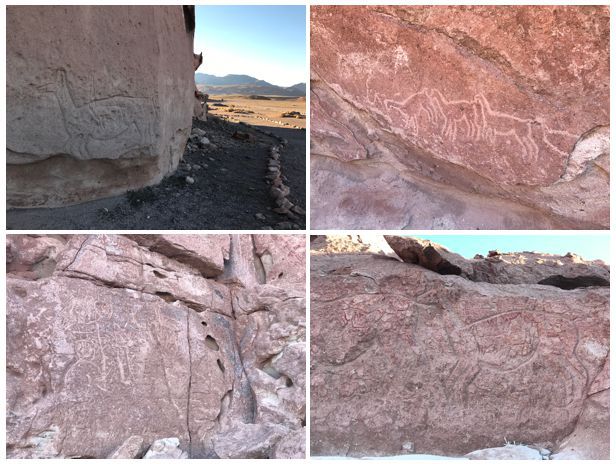 petrogilfos-yerbas-buenas-atacama