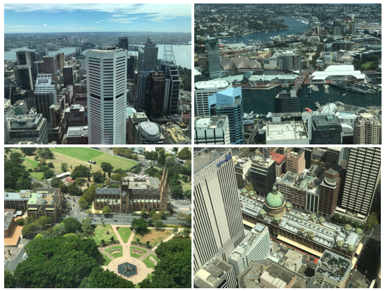 sydney-tower-eye-vista