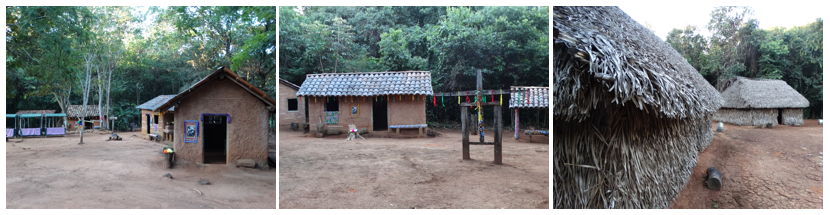 museu-do-cerrado-fotos-2