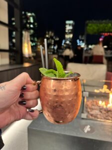 The Rooftop no riu plaza chicago